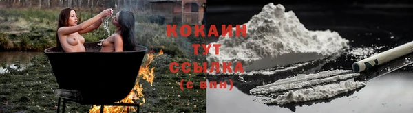кокс Баксан
