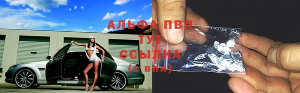 кокс Баксан