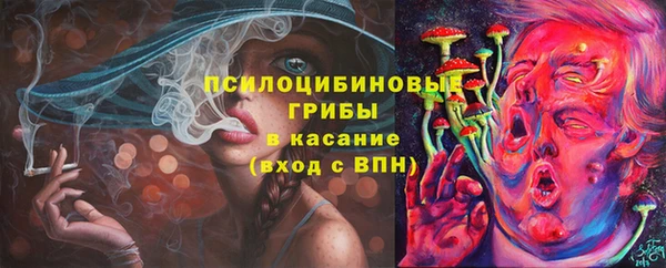 кокс Баксан