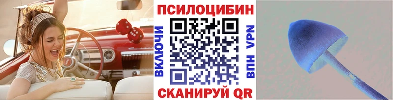 что такое наркотик  кракен вход  shop Telegram  Первомайск  Галлюциногенные грибы Psilocybine cubensis 